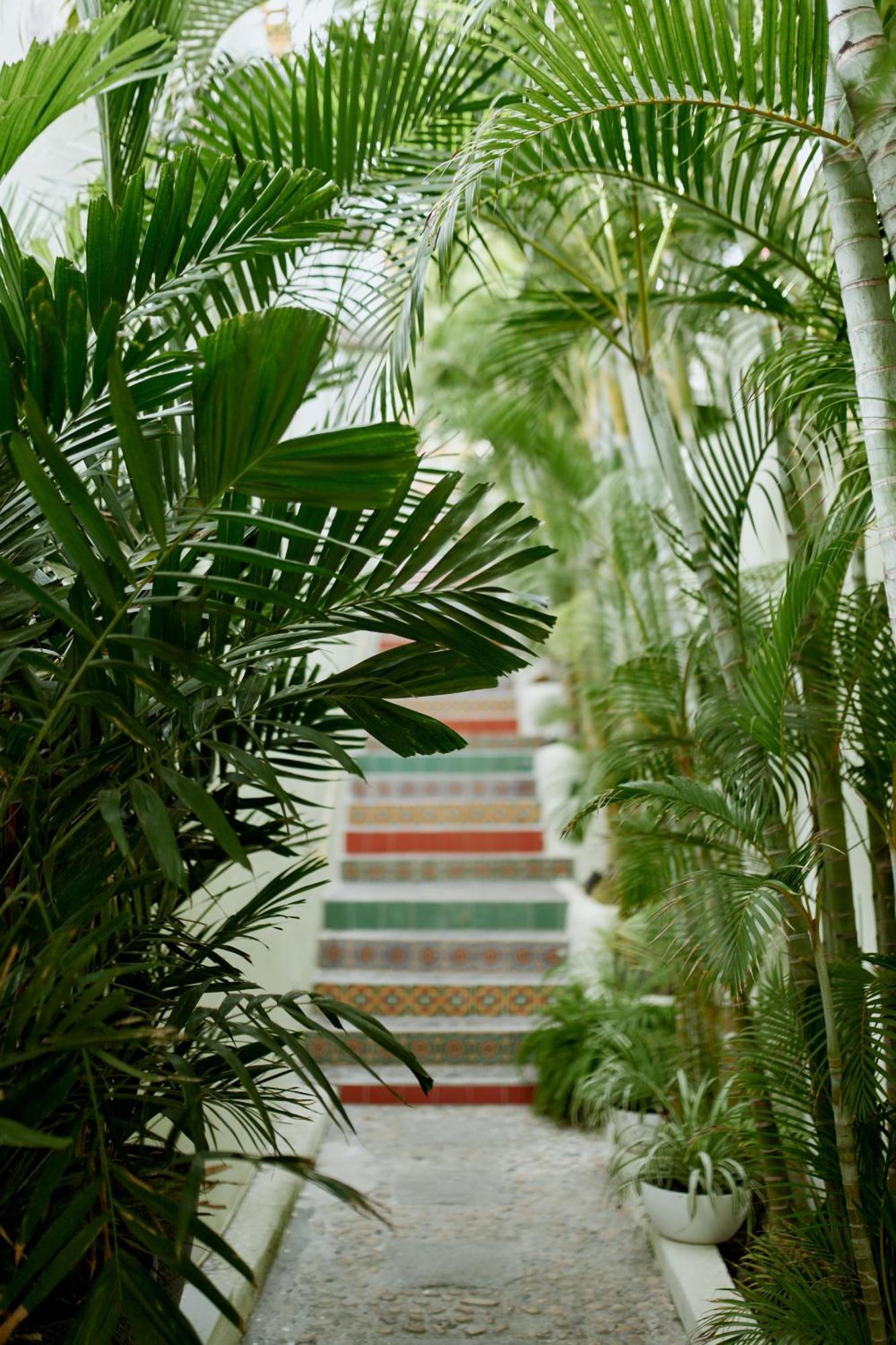 Hotel Ysuri Bucerías Exterior photo